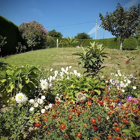 Quinta Maria Etage De Calme Avec Piscine * Celorico De Basto