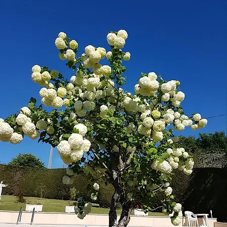 Quinta Maria Etage De Calme Avec Piscine Celorico De Basto